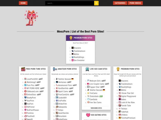 Обзор лучших порносайтов, сайт, который является одним из многих популярных порнокаталогов.