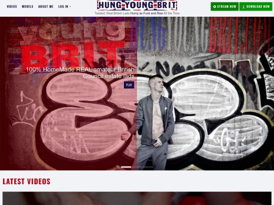 Обзор HungYoungBrit, сайта, который является одним из многих популярных британских гей-порносайтов.