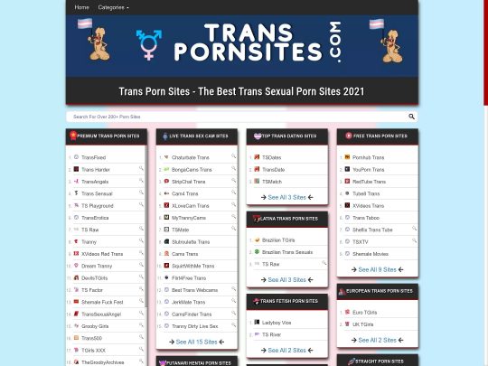 TransPornSites pregled, spletno mesto, ki je eno izmed mnogih priljubljenih trans porno spletnih mest