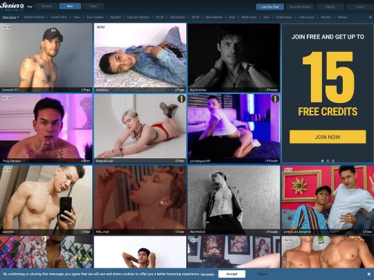 Sexier Gay review, a site that is one of many popular Live Gay Sex Cam Sites