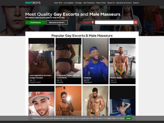 MintBoys review, a site that is one of many popular Gay Male Escort Sites