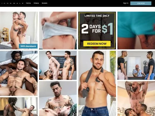Icon Male The Premium Gay Taboo Porn Site With Twinks and Hunks