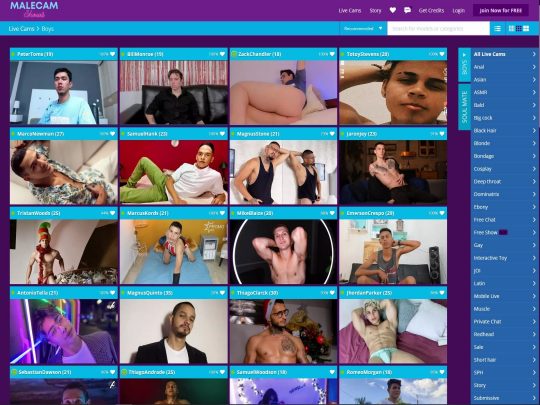 MaleCamShows assistem garotos sensuais de todas as idades acima de 18 anos se apresentando nas câmeras