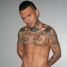 Pablo Bravo a top gay pornstar read their bio and more