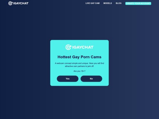 IGayChat review, a site that is one of many popular Live Gay Sex Cam Sites
