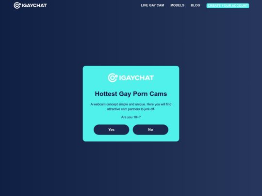 IGayChat anmeldelse, et nettsted som er et av mange populære Live Gay Sex Cam-nettsteder