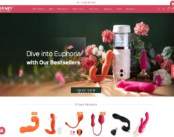 HoneyPlayBox review, a site that is one of many popular Gay Sex Toy Shops