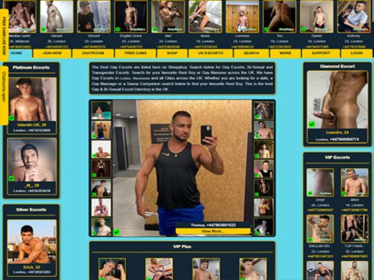 SleepyBoy review, a site that is one of many popular Gay Male Escort Sites