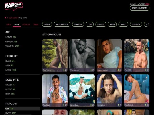 FapChat Gay review, a site that is one of many popular Live Gay Sex Cam Sites