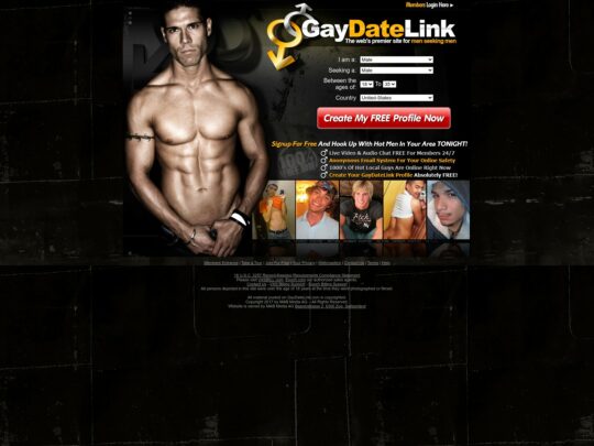 GayDateLink review, a site that is one of many popular Top Gay Dating Sites