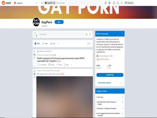 Gay Porn review, a site that is one of many popular Gay Reddit Porn Threads