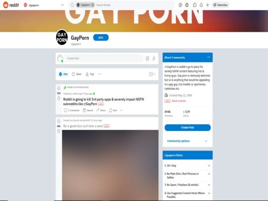 Gay Porn-recensie, een site die een van de vele populaire Gay Reddit-pornothreads is