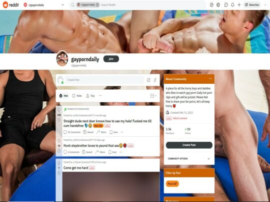 GayPornDaily-Rezension, eine Seite, die einer von vielen beliebten Gay-Reddit-Porno-Threads ist