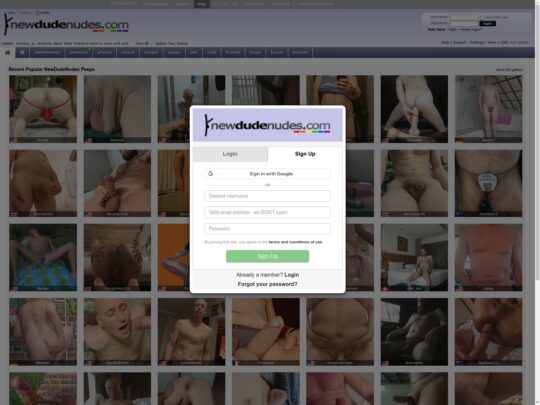 NewDudeNudes review, a site that is one of many popular Gay Porn Picture Sites