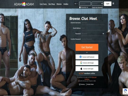 Revisão de Adam4Adam, um site que é um dos muitos sites populares de namoro gay