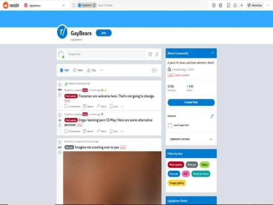 GayBears-Rezension, eine Seite, die einer von vielen beliebten Gay-Reddit-Porno-Threads ist