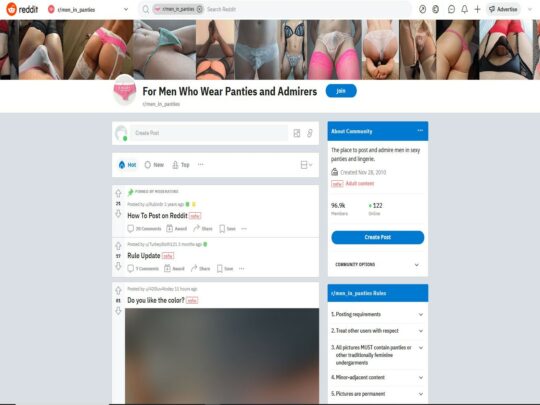 MenInPanties review, een site die een van de vele populaire Gay Reddit-pornothreads is