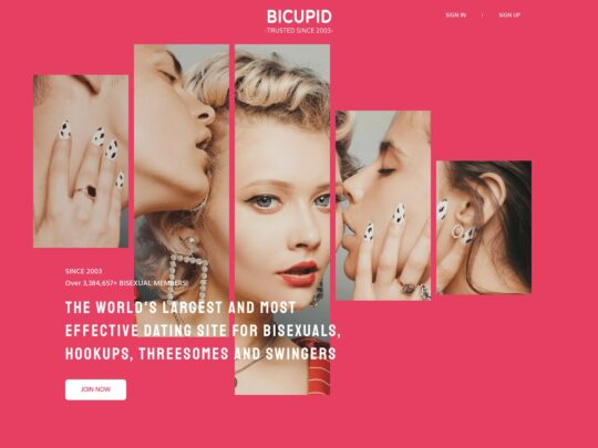 BiCupid ismertető, egy webhely, amely egyike a sok népszerű legjobb meleg társkereső oldalnak