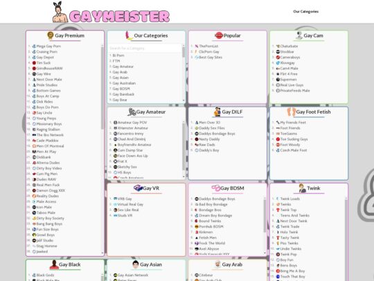 Η κριτική Gaymeister, ένας ιστότοπος που είναι ένας από τους πολλούς δημοφιλείς καταλόγους πορνό