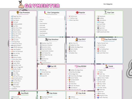 Recensione di Gaymeister, un sito che è una delle tante directory porno popolari