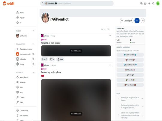 Recensione di Ai Porn Reddit, un sito che è uno dei tanti popolari siti porno Gay AI