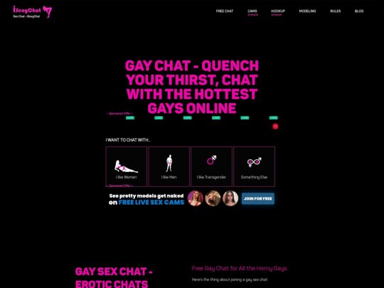 iSexyChat Gay review, a site that is one of many popular Gay Sex Chat Sites