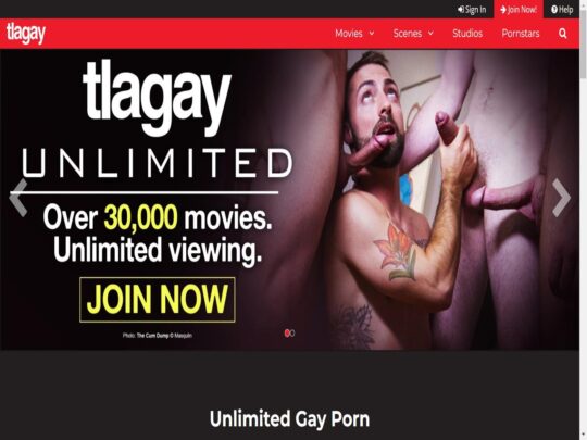 TLAGay はゲイ ポルノ サイトで、最高のゲイ ポルノを制作する多くの最高のスタジオからの 3000 以上のビデオを取り揃えています。