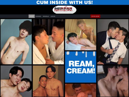 GayAsianNetwork 리뷰, 인기 있는 프리미엄 아시아 게이 포르노 사이트 중 하나인 사이트