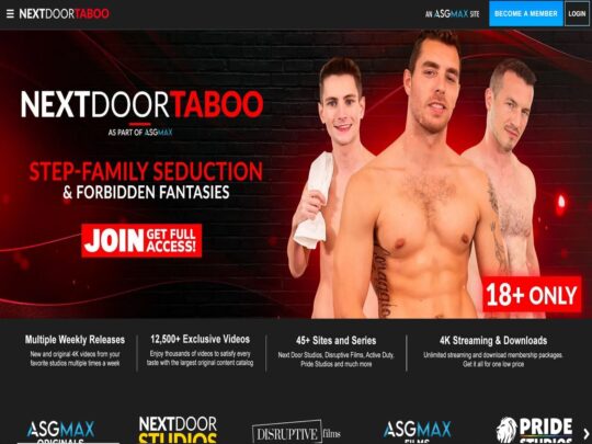 סקירת NextDoorTaboo, אתר שהוא אחד מאתרי הפורנו הפופולריים הרבים של אחים חורגים גייז