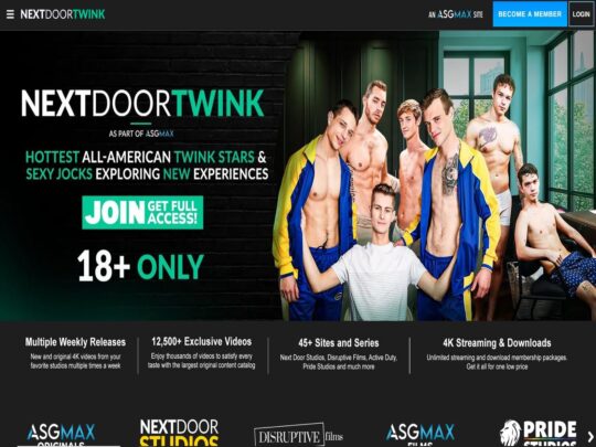 Ocena Next Door Twink, spletnega mesta, ki je eno izmed mnogih priljubljenih vrhunskih gejevskih porno strani Twink