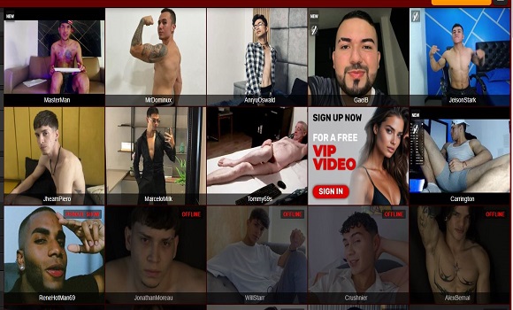Se heta homosexuella artister på gratis sexkameror på XLoveCam