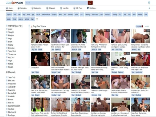 Ice Gay Porno anmeldelse, et websted, der er et af mange populære gratis Gay Porno Tubes