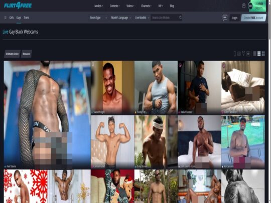 סקירת Flirt4Free Gay Ebony, אתר שהוא אחד ממצלמות הסקס השחורות הגאות והשחורות הפופולריות הרבות