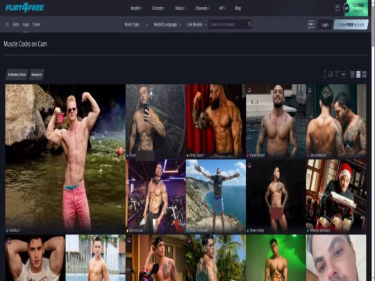 סקירת Flirt4Free Gay Muscle, אתר שהוא אחד ממצלמות הסקס הפופולריות הרבות של גייז חתיכות