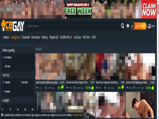 IceGay Asian incelemesi, popüler ücretsiz Asyalı eşcinsel porno sitelerinden biri olan bir site.