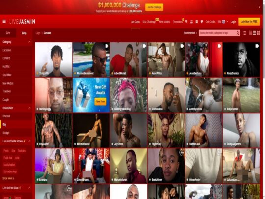 סקירת LiveJasmin Gay Ebony, אתר שהוא אחד ממצלמות הסקס השחורות הגאות והשחורות הפופולריות הרבות