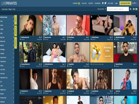 סקירת LivePrivates Gay, אתר שהוא אחד מאתרי מצלמות סקס גייז פופולריים רבים