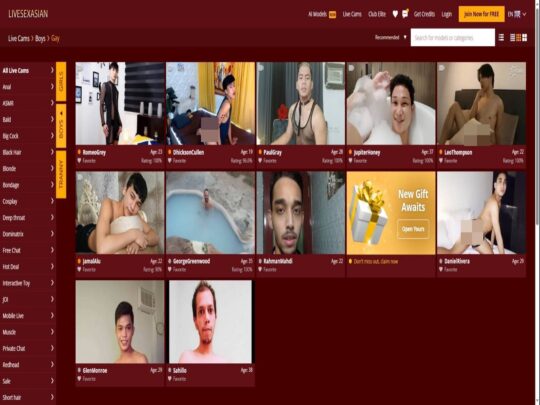 ביקורת על LiveSexAsian Gay, אתר שהוא אחד ממצלמות הסקס האסיאתיות הגאות והלייב הפופולריות הרבות