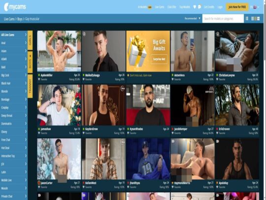 סקירת MyCams Gay Muscular, אתר שהוא אחד ממצלמות הסקס הפופולריות הרבות של גייז חתיכים