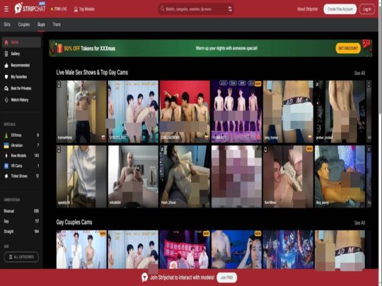 Stripchat Gay BDSM review, a site that is one of many popular Live Gay Fetish Sex Cams