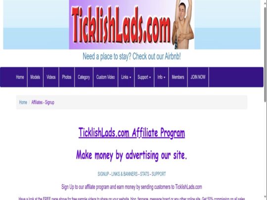 ביקורת על TicklishLads, אתר שהוא אחד מאתרי פורנו גייז פופולריים רבים באירופה