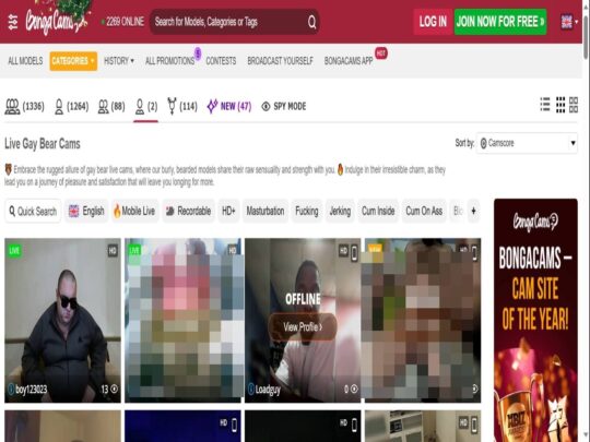 סקירת BongaCams Gay Bears, אתר שהוא אחד ממצלמות הסקס הגאה הפופולריות הרבות עם דובים חיים