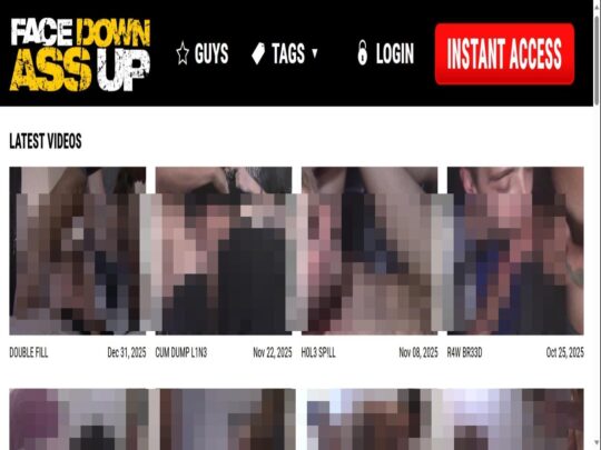 סקירת FaceDownAssUp, אתר שהוא אחד מאתרי פורנו גייז פרימיום פופולריים רבים