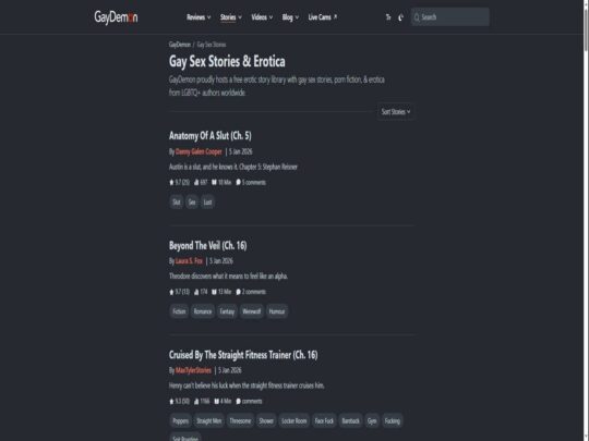 GayDemon Stories im Test, eine Seite, die zu den vielen beliebten Gay-Sex-Geschichten-Seiten gehört.