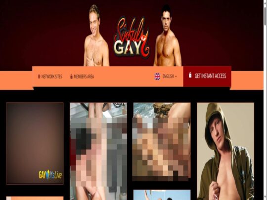 Recensie van Sinful Gay, een site die een van de vele populaire premium gay pornosites is.