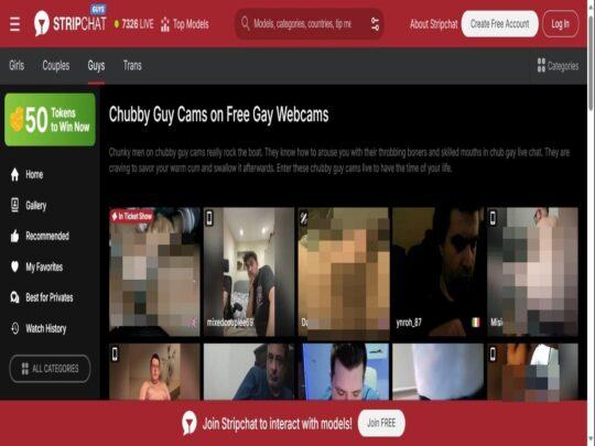 סקירת Stripchat Gay Bears, אתר שהוא אחד ממצלמות הסקס הגאה הפופולריות הרבות של דובים חיים