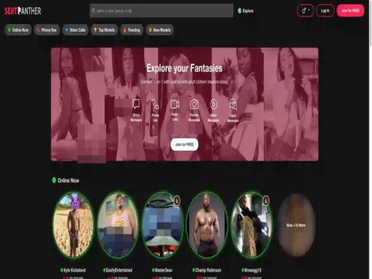 SextPanther review, a site that is one of many popular Gay Sex Chat Sites
